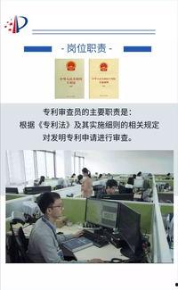 审查员,审查员视角下的文章质量评估与优化策略